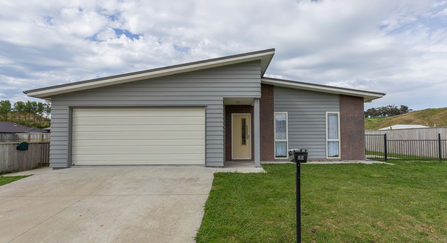  at 25 Hamilton Drive, Wainui, Gisborne