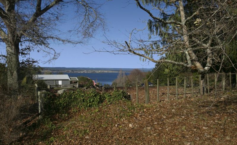  at 16 Ewing Grove, Acacia Bay, Taupo