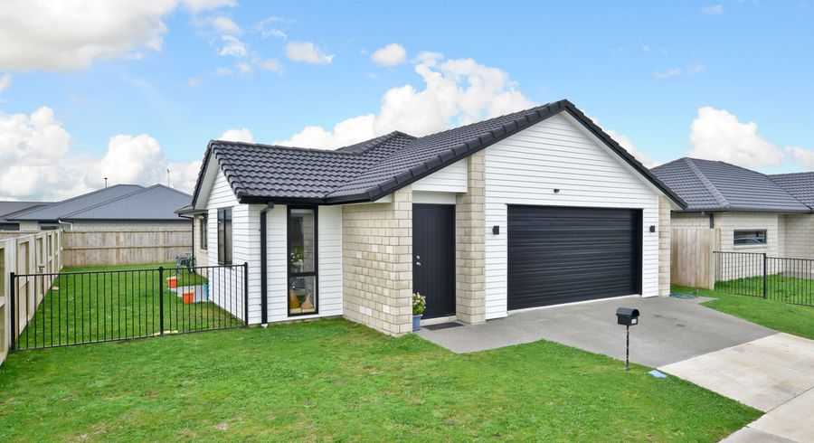  at 19 Briannarose Drive, Fitzroy, Hamilton
