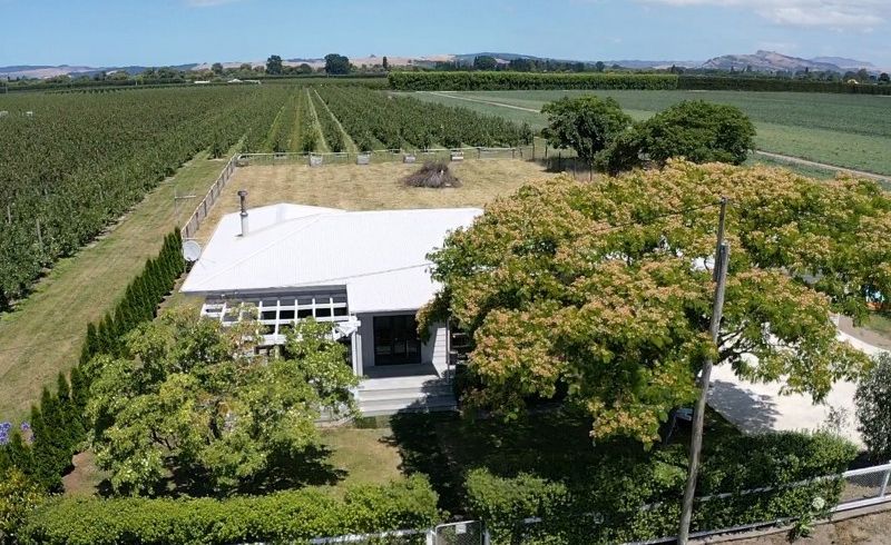  at 186 Richmond Road, Hastings