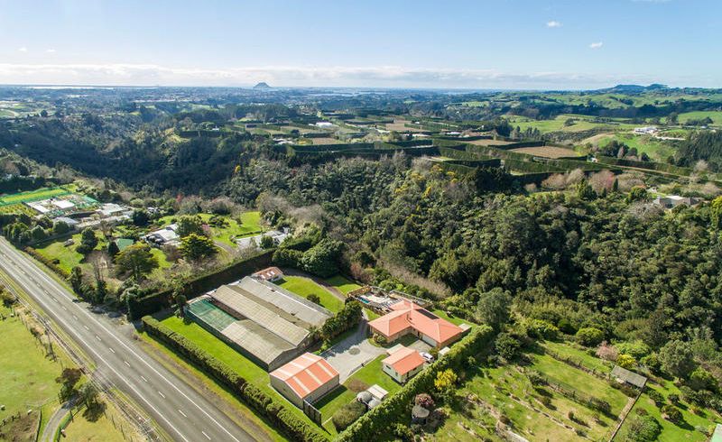  at 629 Pyes Pa Road, Pyes Pa, Tauranga