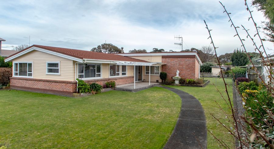  at 101 Latham Street, Marewa, Napier