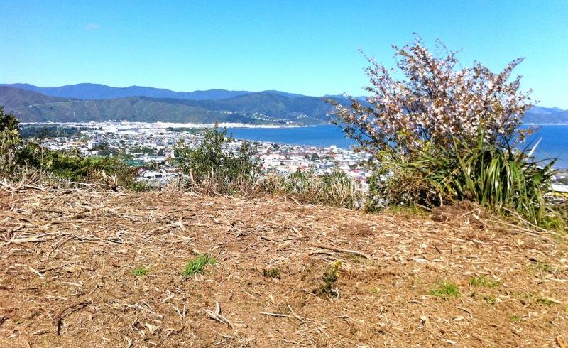  at 19 Rakeiora Grove, Korokoro, Lower Hutt
