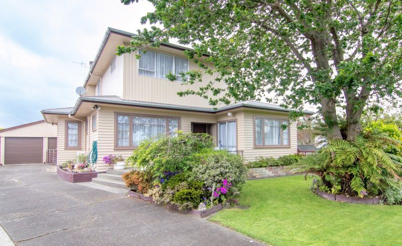  at 236 Tremaine Avenue, Highbury, Palmerston North