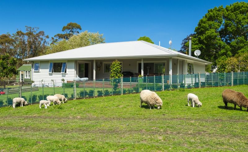  at 598 Riverside Road, Mātokitoki, Gisborne
