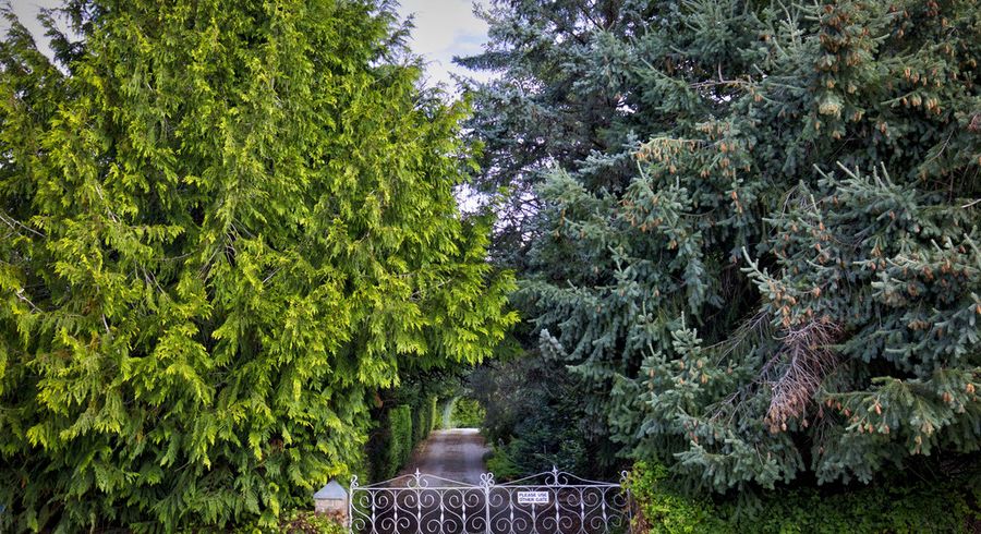  at 8 Rutherford Road, Lake Hayes, Queenstown