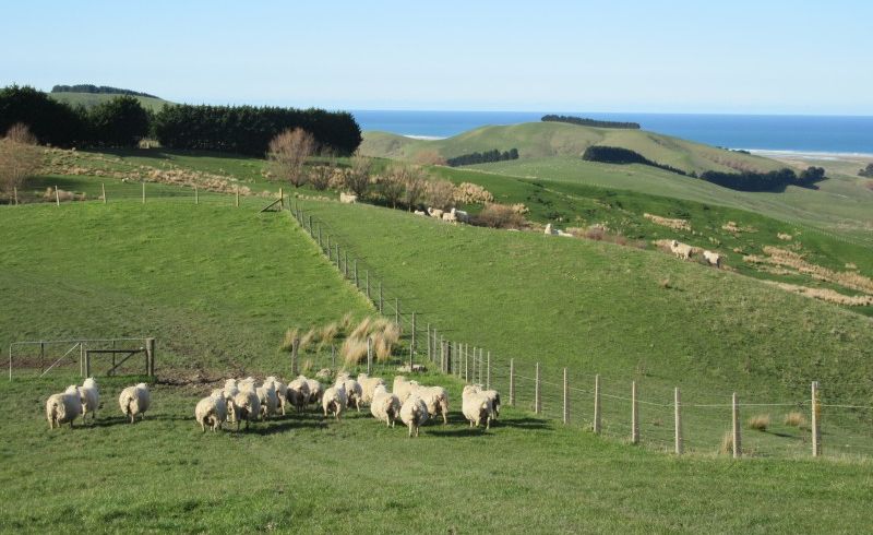  at 0 Blackhead Road, Blackhead, Porangahau