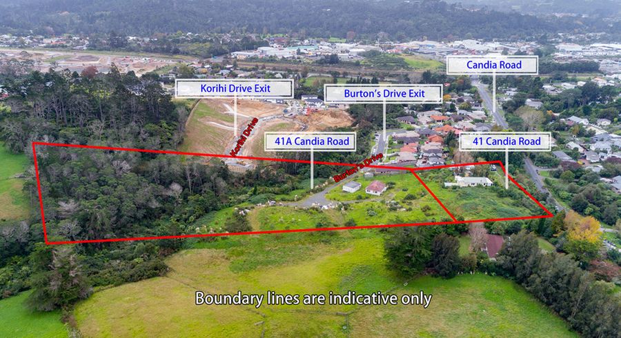  at 41A Candia Road, Swanson, Auckland