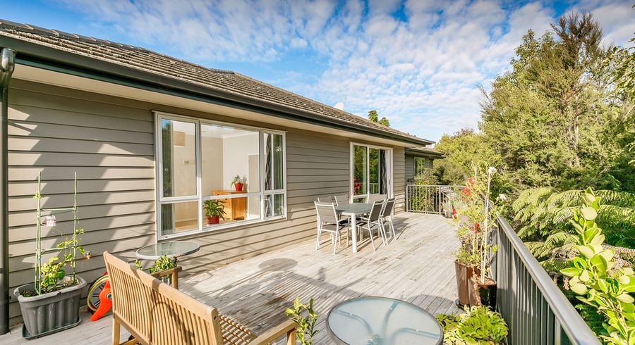  at 46 Hornbill Drive, Fairview Heights, Auckland