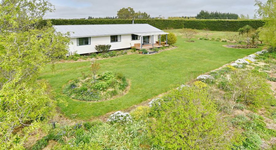  at 407 Pesters Road, Eyrewell Forest, West Eyreton