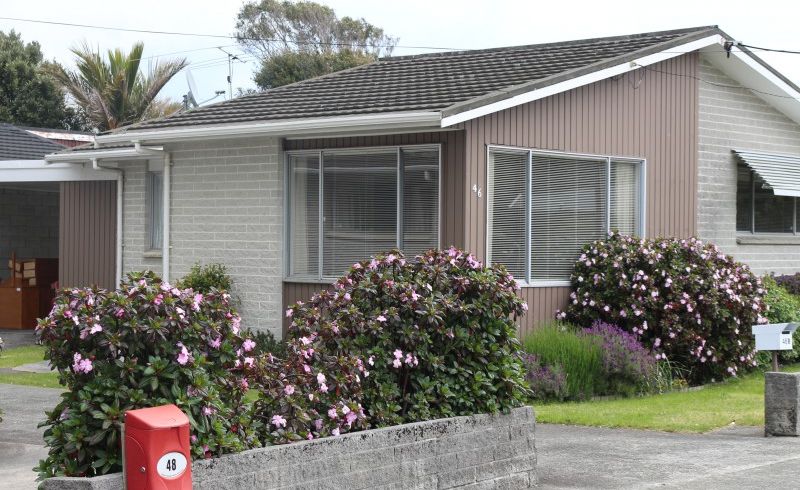  at 3/46 Kings Crescent, Hutt Central, Lower Hutt