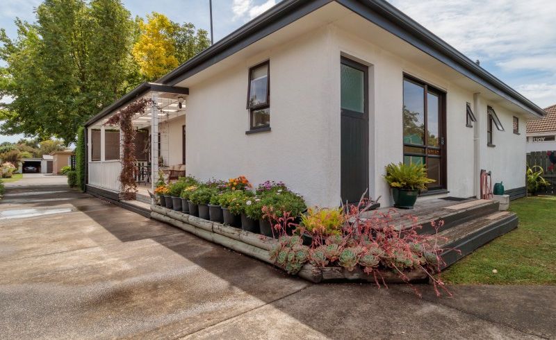 at 207 Leo Street, Akina, Hastings