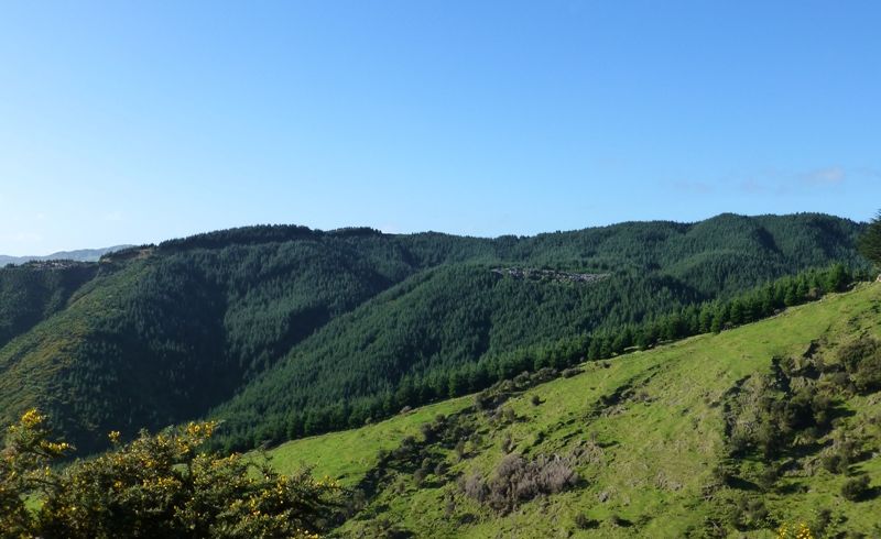  at 0 Ridge Road, Mangamutu, Pahiatua