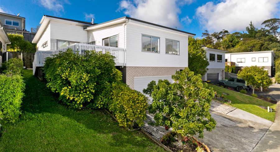  at 55 Leo Street, Glen Eden, Auckland