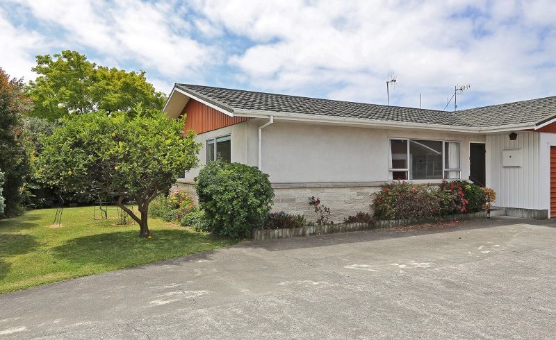  at 1/217 TARADALE RD, GREENMEADOWS, NAPIER