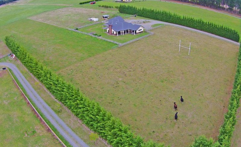 at 290 BAINESSE RD, Rangiotu, BAINESSE