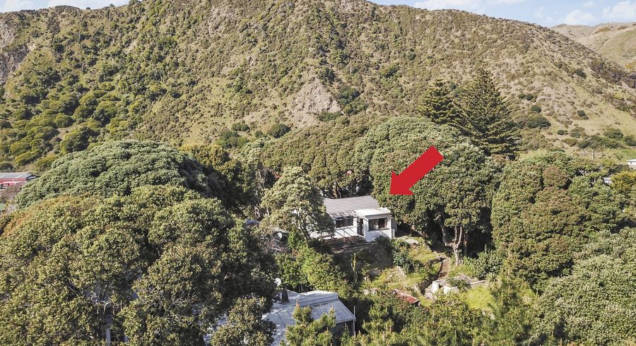  at 45 Wellington Road, Paekakariki, Paekakariki