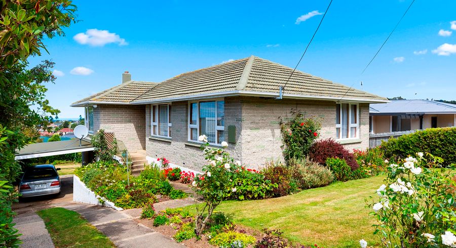  at 17 Turner Street, Halfway Bush, Dunedin