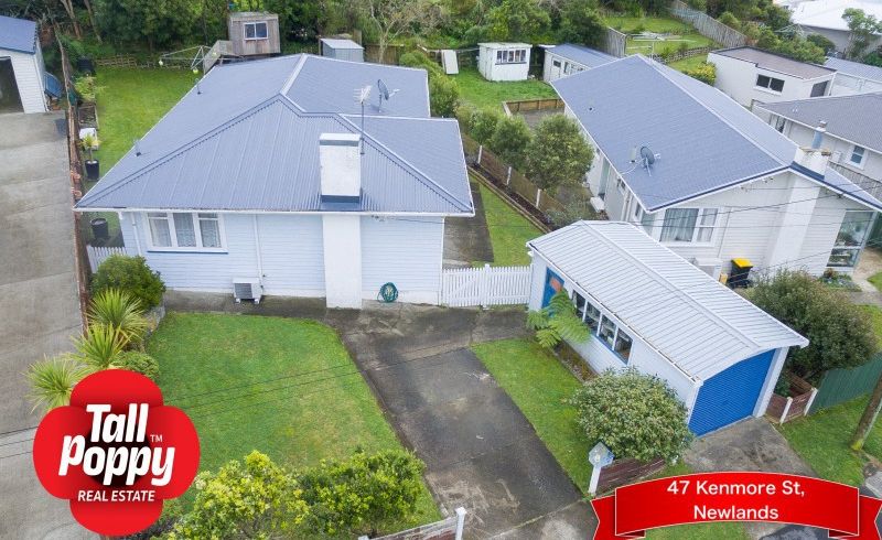  at 47 Kenmore Street, Newlands, Wellington