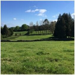  at 74 Mangakahia Road, Whangarei