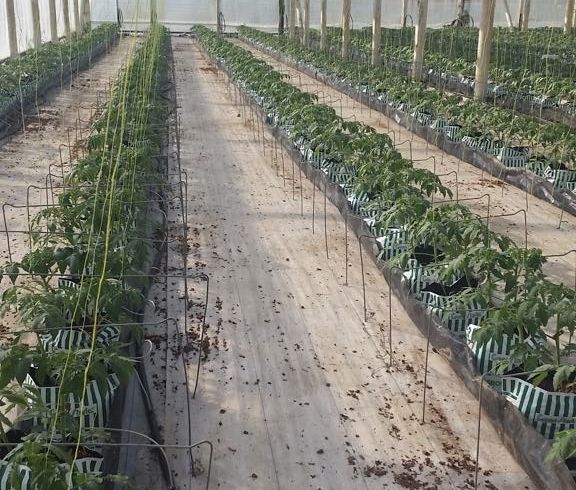  at 1002 Kaitaia-Awaroa Road, Ahipara, Kaitaia