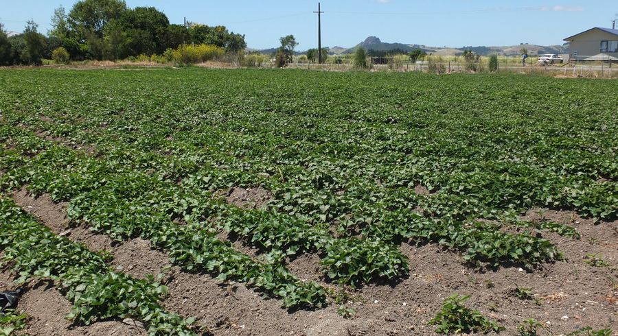 at 57 Heawa Road, ARATAPU, DARGAVILLE