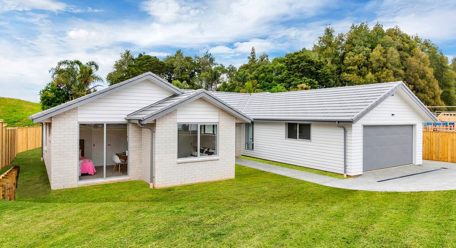 at 30 Lisle Farm Drive, Pukekohe, Pukekohe
