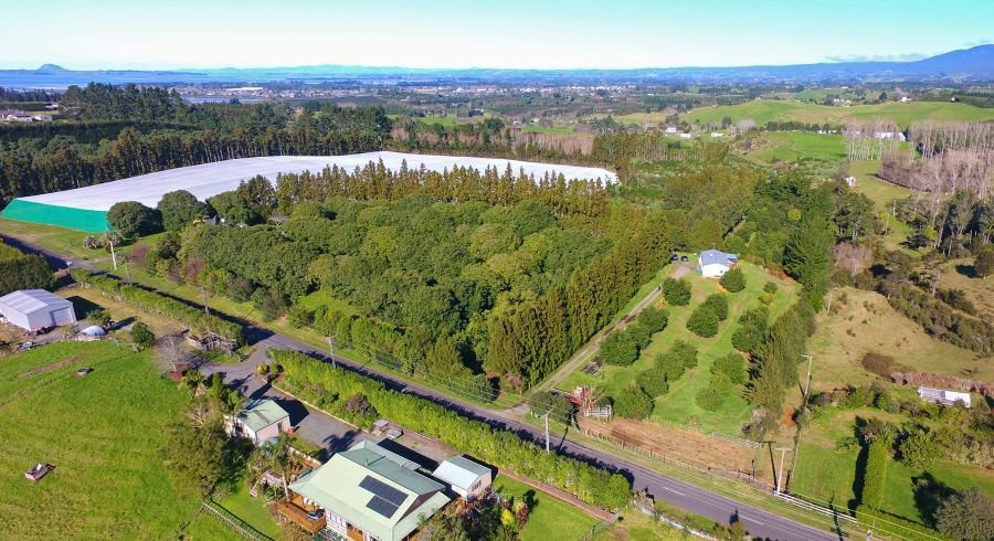  at 167 Woodland Road, Tahawai, Katikati