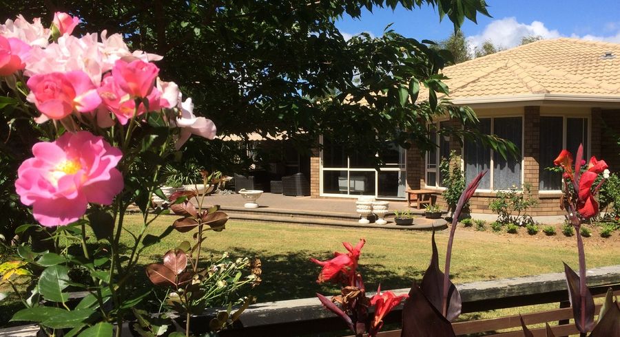  at 161 Flat Road, Kihikihi, Te Awamutu