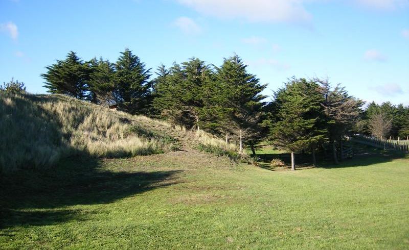  at 181 Park Avenue, Waitarere Beach, Levin