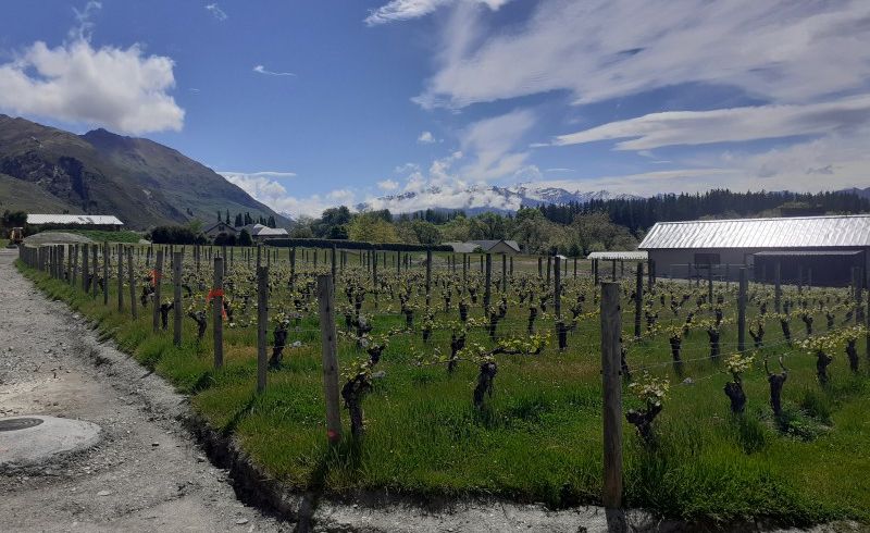  at 289 Studholme Road, Wanaka