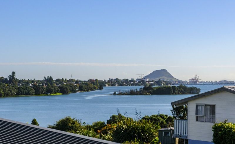  at 56 Tutauanui Crescent, Maungatapu, Tauranga