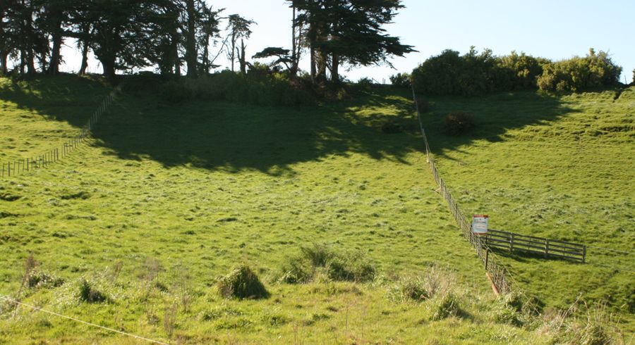  at 52 Cracroft Drive, Putiki, Whanganui