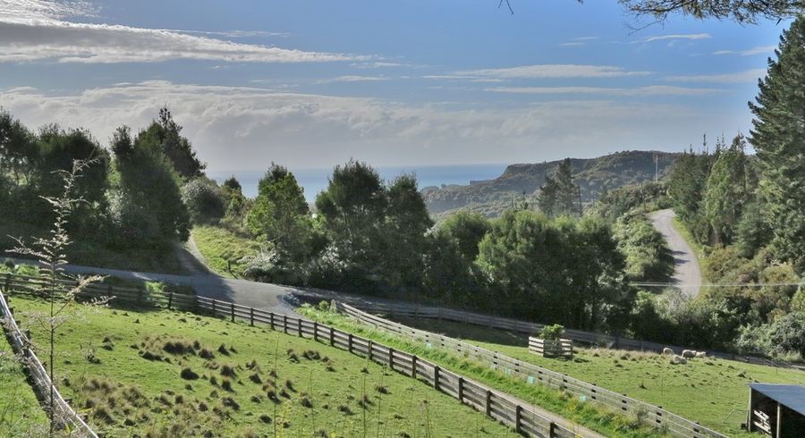  at 58 Falconer Road, Pohara