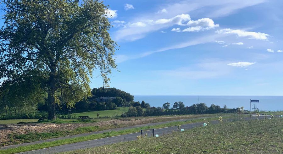  at 4 Te Momokai Lane, TASMAN, UPPER MOUTERE