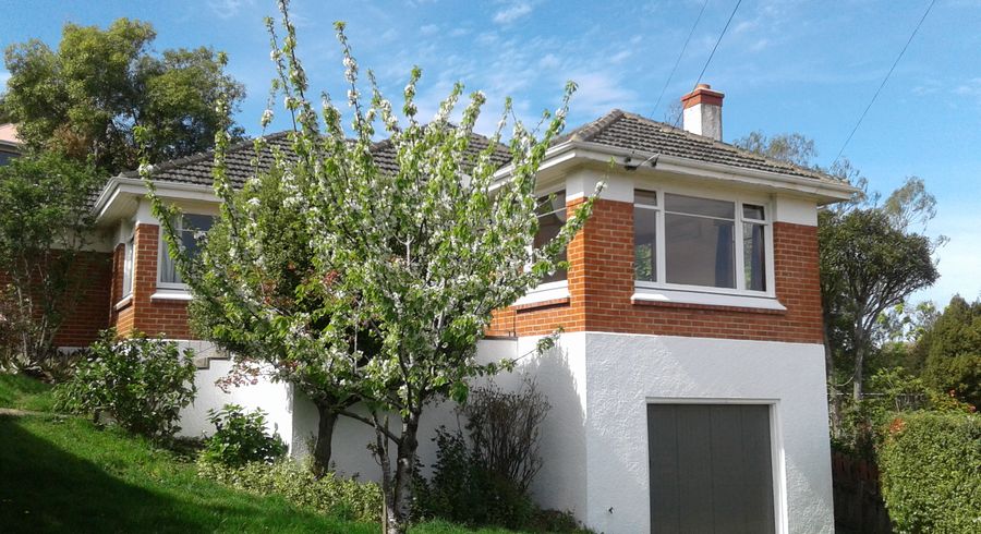  at 166 Signal Hill Road, Opoho, Dunedin