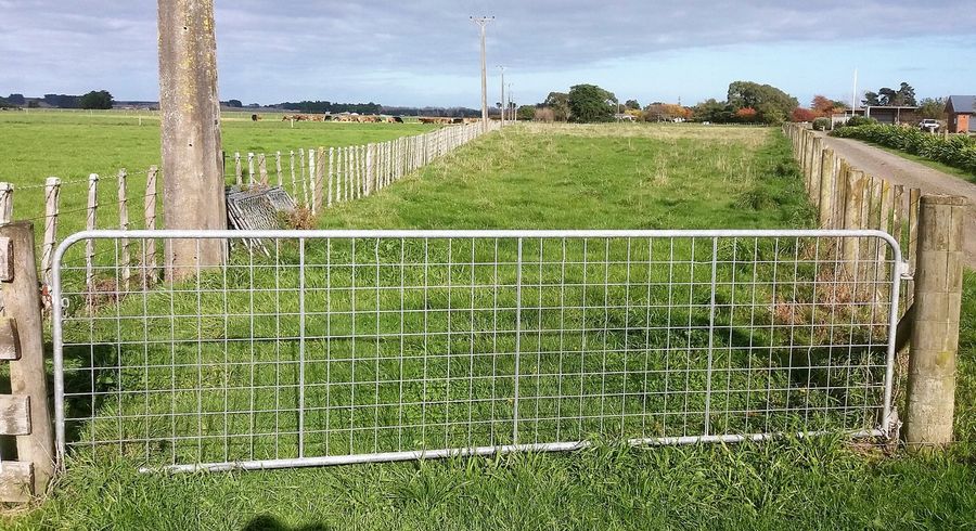  at 278D Mcdonell Road, Palmerston North