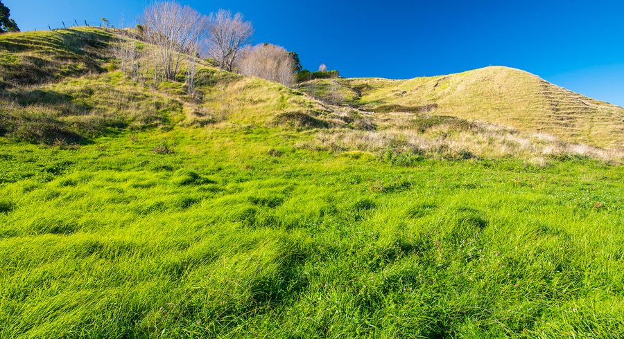  at 0 Paraone Road, WAINUI, Gisborne