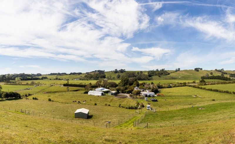  at 916 Mountain Road, Waiongana, Inglewood