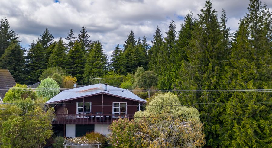  at 229 Dalziel Road, Brockville, Dunedin