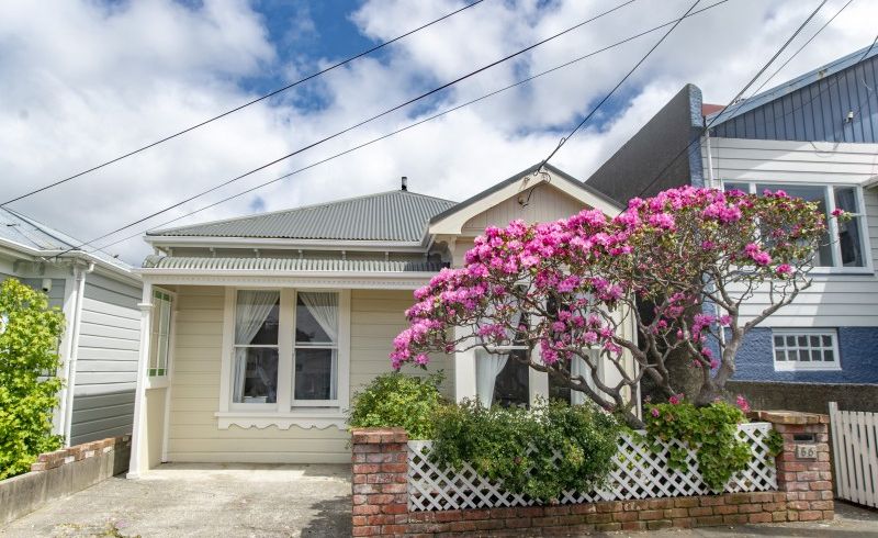  at 56 Stanley Street, Berhampore, Wellington
