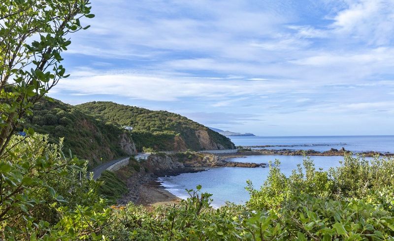  at 17 Cave Road, Houghton Bay, Wellington