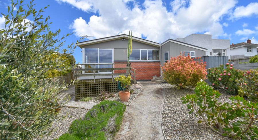  at 113 Mornington Road, Kenmure, Dunedin