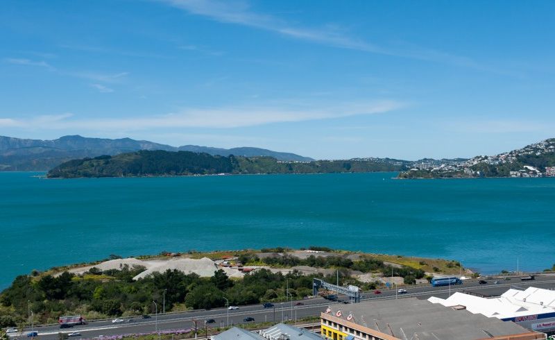  at 31 Winchester Street, Kaiwharawhara, Wellington