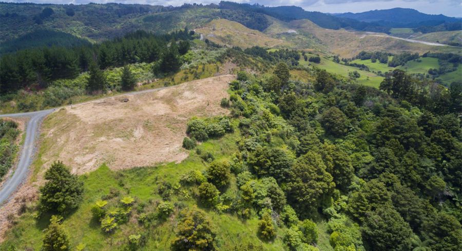  at 19 Hawks Ridge Rise, Dome Forest, Warkworth