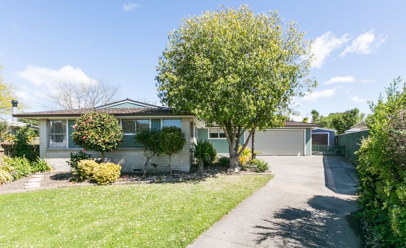  at 503 Poplar Place, Akina, Hastings