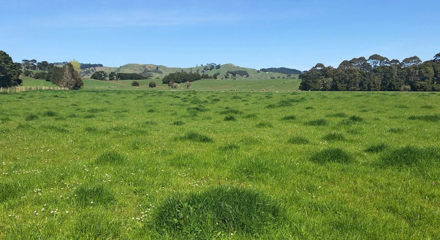  at 479 Old Kaipara Road, Kaipara Flats, Warkworth