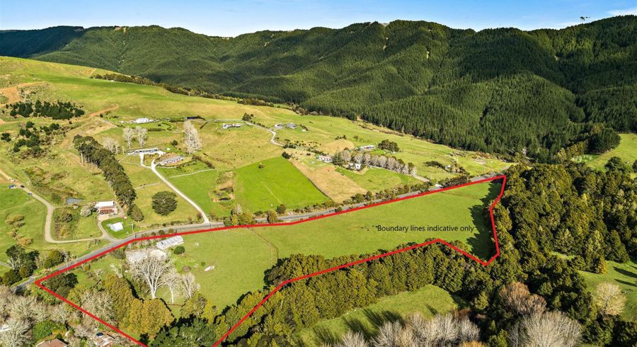  at 993 Whangaripo Valley Road, Whangaripo, Wellsford