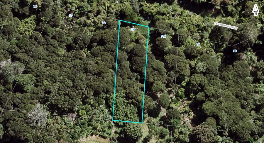  at 34 Te Aroha Avenue, Oneroa, Waiheke Island
