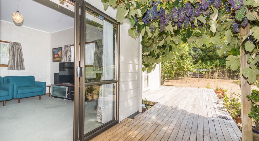  at 13 Hendon Avenue, Mount Albert, Auckland